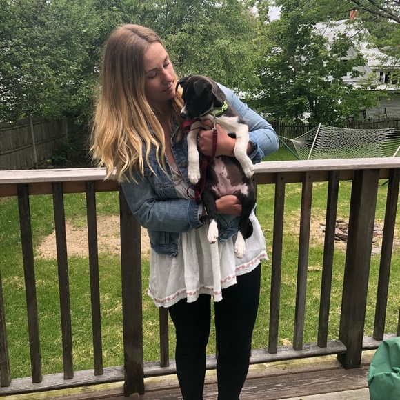 Meet your Posher, Eliza - Picture 1 of 1